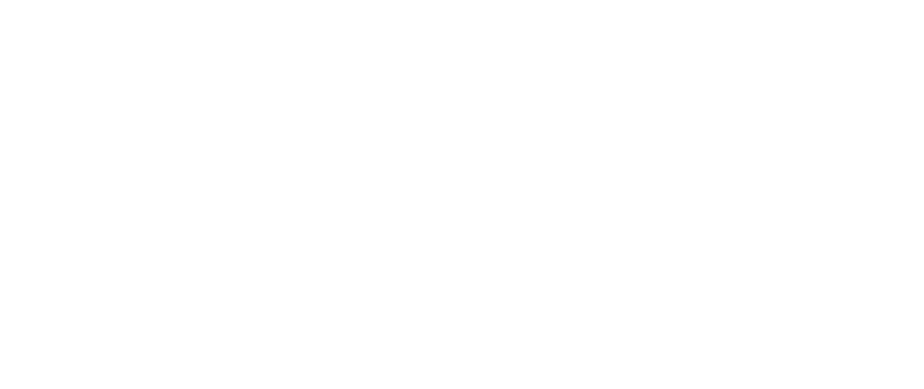 Turkish Technic