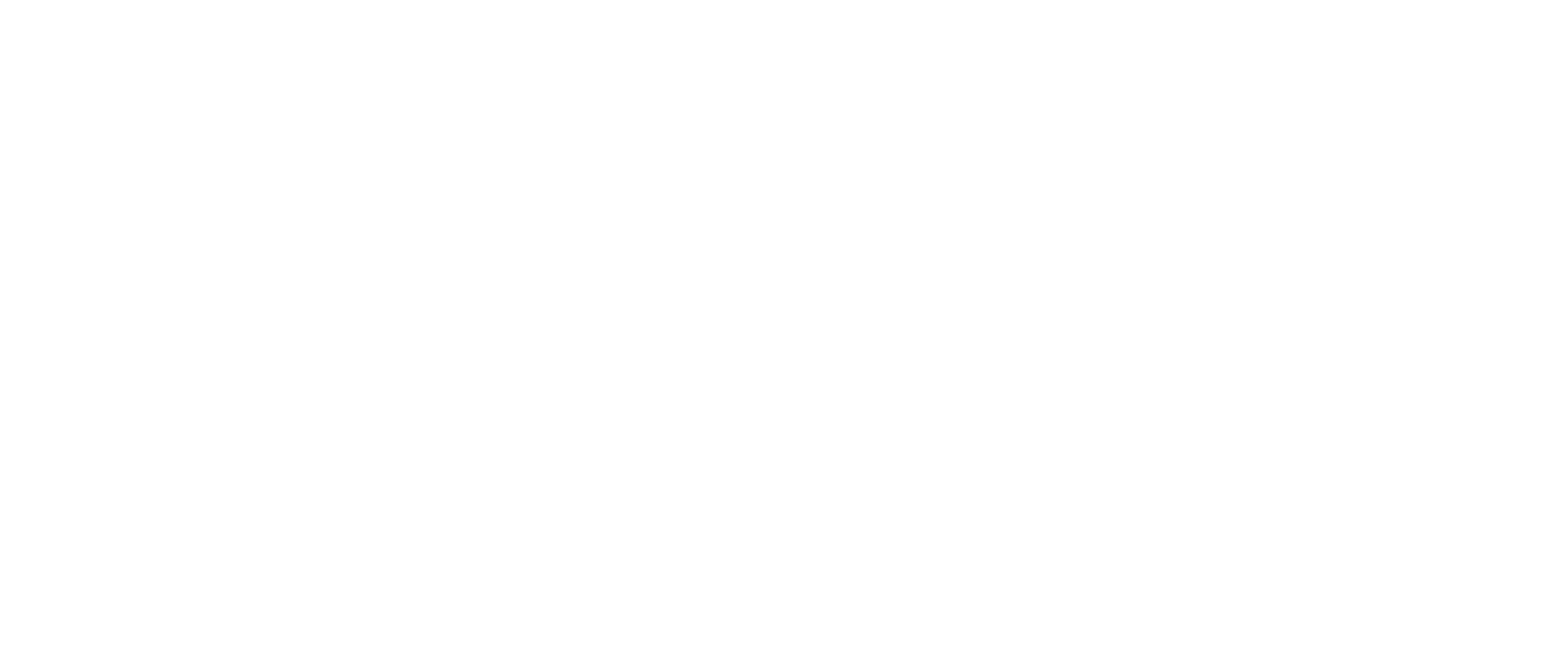 Turkish Technic