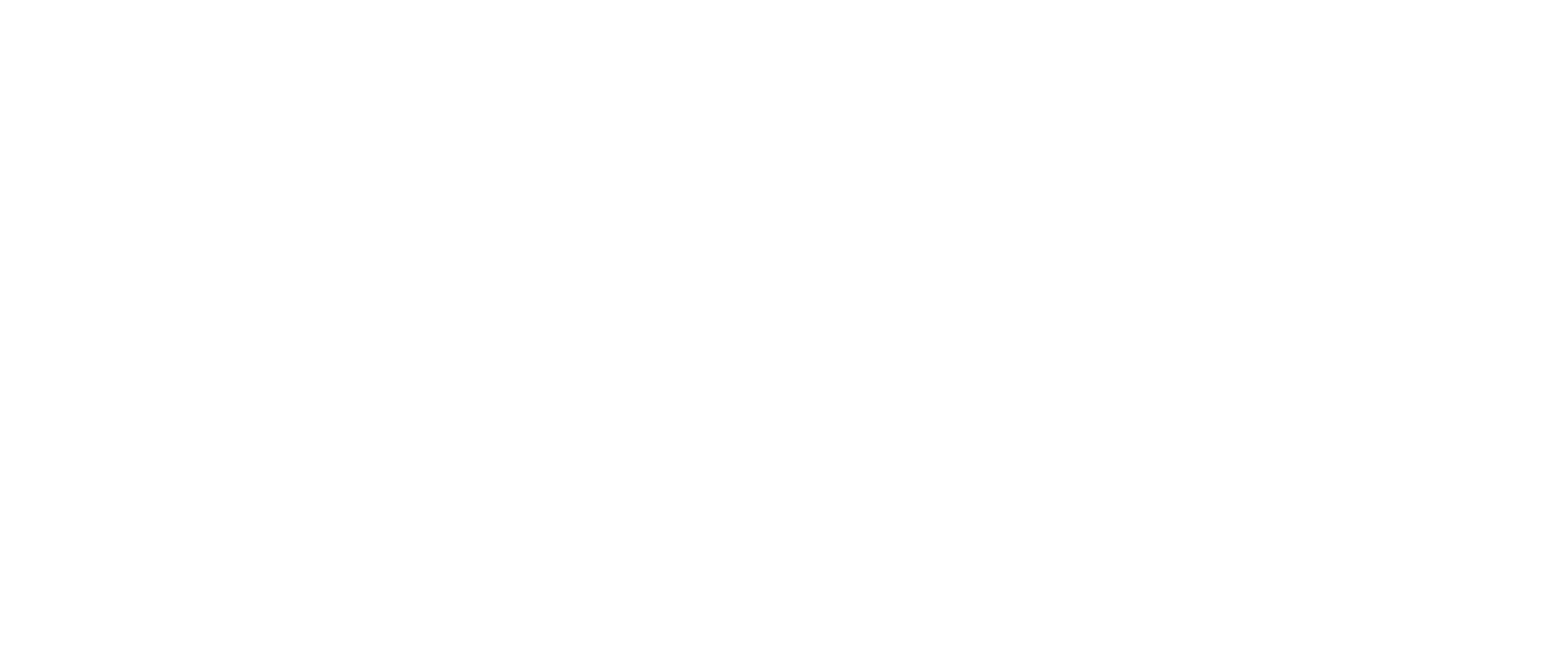 Turkish Technic