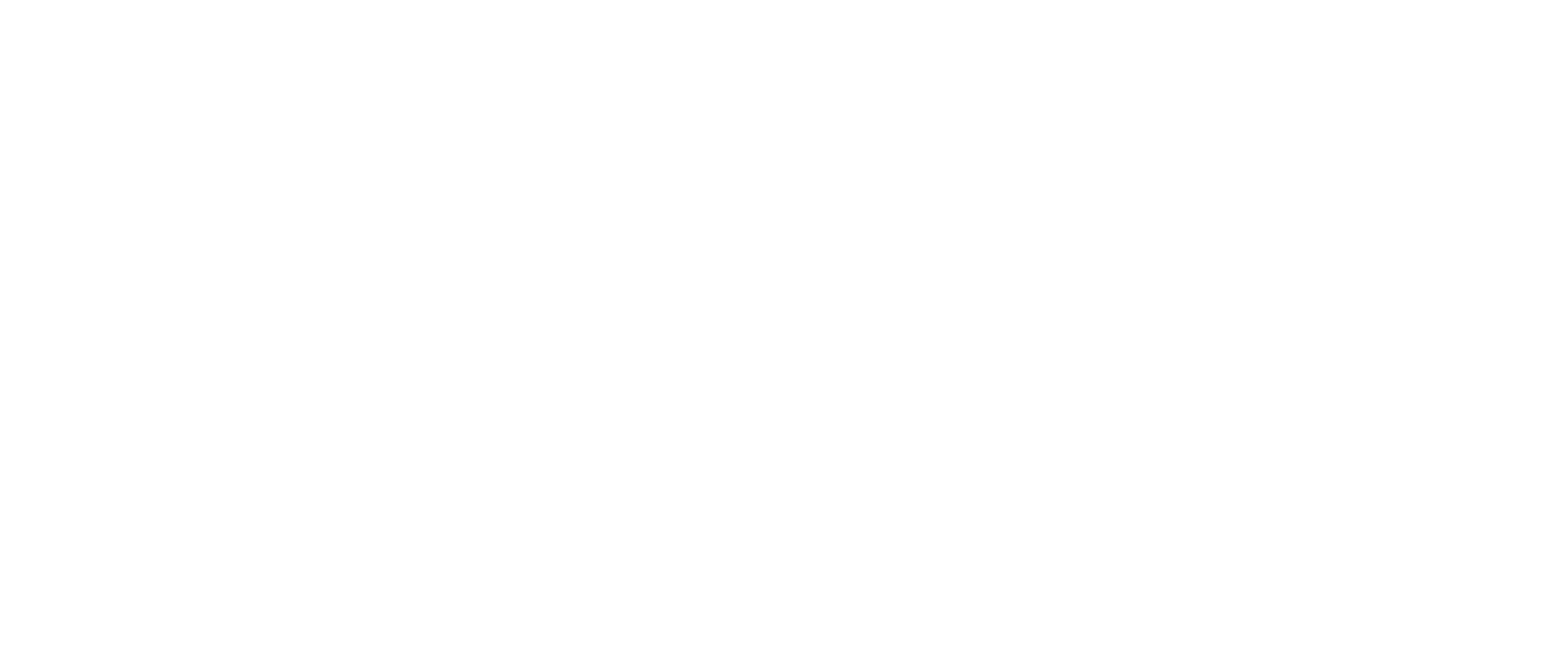 Turkish Technic